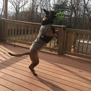 Meet your Posher, Roberta